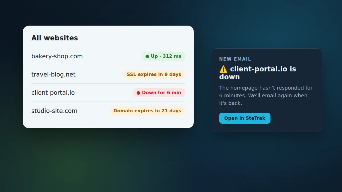A list of websites with status labels (up, SSL expiring, down, domain expiring) and an email alert saying a site is down
